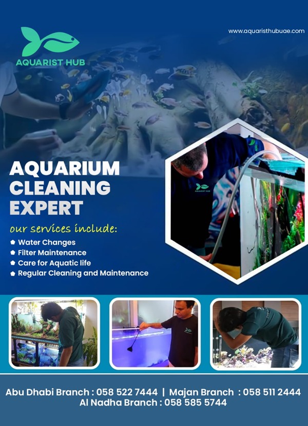 project-aqua