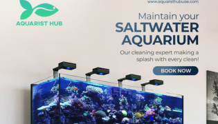 portfolio_solution_1